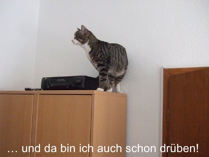 Das war‘s… bye bye… winke winke…