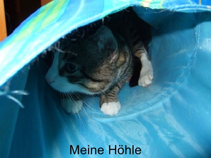 Mir geht‘s gut! 