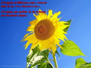 J’ai appris la différence entre « réussir dans la vie » et « réussir sa vie ». J’ai appris que parfois, la vie te donne une deuxième chance. 