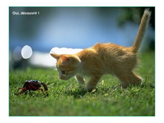 Oui, découvrir !

 