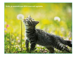 Enfin, je souhaite que 2014 vous soit agréable,

 