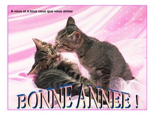 A vous et à tous ceux que vous aimez

 