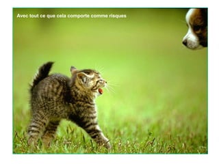 Avec tout ce que cela comporte comme risques

 