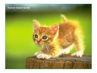 Tout en restant lucide

 