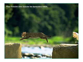 Pour franchir avec succès les épreuves à venir,

 