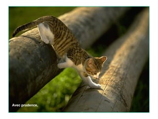 Avec prudence,

 