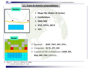 1. Les données géographiques
2.1. Types de données géographiques
 Standards : BMP, TIFF, JPG, PNG...
 Compressés : ECW, JP2, SID
 Logiciels de SIG et télédétection :GRID, BIL,
BSQ, BIP, IMG (ERDAS)...
Raster
Vecteur
R = Route, L = Terre, H = Maison, B = plage,
C = zone de conservation, S = mer
 Shape file (fichier de forme)
 Geodatabase
 MID/MIF
 DXF, DWG, DGN
 TIN
 