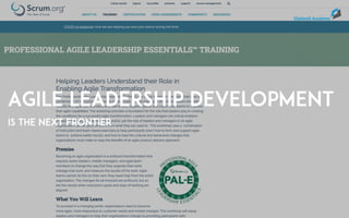 Laurens Bonnema. Remote Agile Project Management