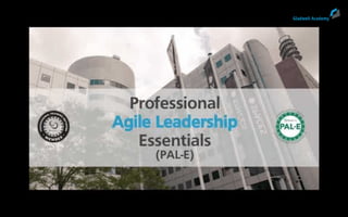 Laurens Bonnema. Remote Agile Project Management