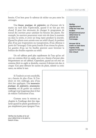 Bonnes_pratiques_de_culture_en_pepiniere.pdf