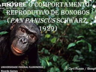 SOBRE O COMPORTAMENTO
REPRODUTIVO DE BONOBOS
(PAN PANISCUS SChwARz,
1929)
UNIVERSIDADE FEDERAL FLUMINENSE
Ricardo Gomes
 