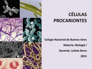 Colegio Nacional de Buenos Aires
Materia: Biología I
Docente: Julieta Bono
2015
CÉLULAS
PROCARIONTES
 