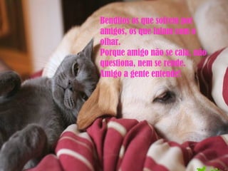 Benditos os que sofrem por amigos, os que falam com o olhar. Porque amigo não se cala, não questiona, nem se rende. Amigo a gente entende! 