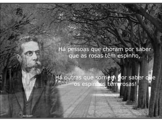 Há pessoas que choram por saber que as rosas têm espinho, Há outras que sorriem por saber que os espinhos têm rosas! 