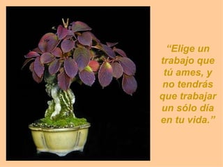 “ Elige un trabajo que tú ames, y no tendrás que trabajar un sólo día en tu vida.” 