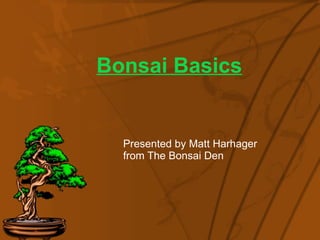 Bonsai Basics Presented by Matt Harhager from The Bonsai Den 