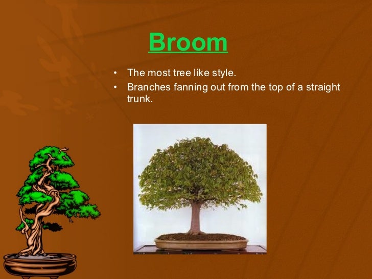 bonsai by edith tiempo pdf