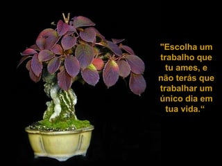"Escolha um trabalho que tu ames, e não terás que trabalhar um único dia em tua vida.“   