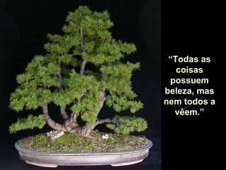 “ Todas as coisas possuem beleza, mas nem todos a vêem.” 