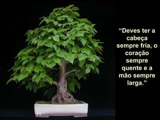 “ Deves ter a cabeça sempre fria, o coração sempre quente e a mão sempre larga.” 