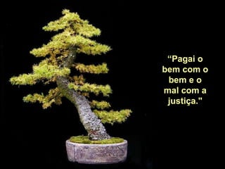 “ Pagai o bem com o bem e o mal com a justiça." 