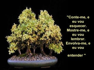 "Conte-me, e eu vou esquecer. Mostre-me, e eu vou lembrar. Envolva-me, e eu vou entender "     