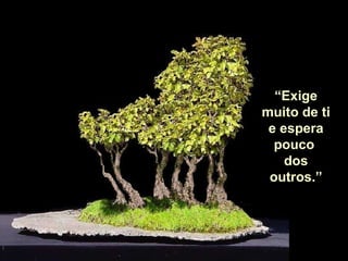 “ Exige muito de ti e espera pouco  dos outros.” 