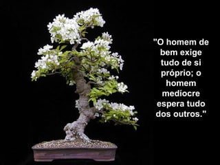 "O homem de bem exige tudo de si próprio; o homem medíocre espera tudo dos outros." 