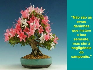 “ Não são as ervas daninhas que matam a boa semente, mas sim a negligência do camponês.” 