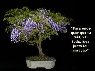 “ Para onde quer que tu vás, vai todo, leva junto teu coração” 