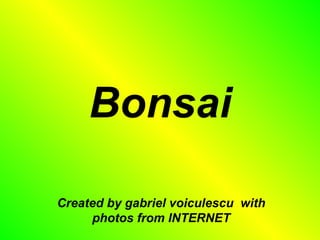 Bonsai

Created by gabriel voiculescu with
     photos from INTERNET
 