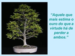“ Aquele que mais estima o ouro do que a virtude há de perder a ambos.”  
