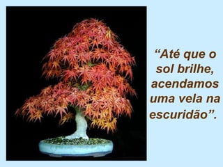 “ Até que o sol brilhe, acendamos uma vela na escuridão”.   