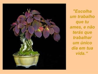 "Escolha um trabalho que tu ames, e não terás que trabalhar um único dia em tua vida.“   
