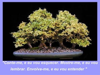 "Conte-me, e eu vou esquecer. Mostre-me, e eu vou lembrar. Envolva-me, e eu vou entender "     