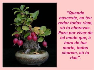 “ Quando nasceste, ao teu redor todos riam, só tu choravas. Faze por viver de tal modo que, à hora de tua morte, todos chorem, só tu rias”. 