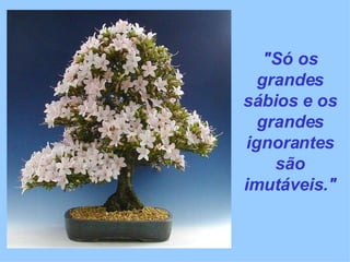 "Só os grandes sábios e os grandes ignorantes são imutáveis." 