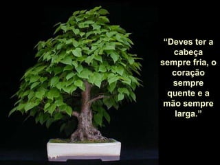 “Deves ter a
   cabeça
sempre fria, o
   coração
   sempre
  quente e a
 mão sempre
    larga.”
 