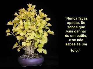 "Nunca faças
  aposta. Se
  sabes que
 vais ganhar
és um patife,
   e se não
sabes és um
   tolo."
 
