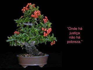 “Onde há
 justiça
 não há
pobreza.”
 