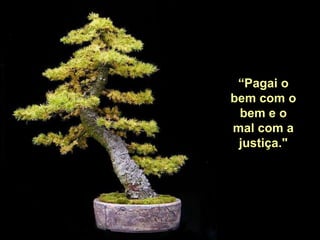 “Pagai o
bem com o
 bem e o
mal com a
 justiça."
 