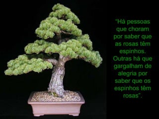 “Há pessoas
  que choram
por saber que
as rosas têm
   espinhos.
Outras há que
gargalham de
  alegria por
saber que os
espinhos têm
    rosas”.
 