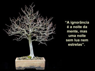 “A ignorância
 é a noite da
 mente, mas
  uma noite
sem lua nem
  estrelas”.
 