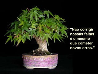 "Não corrigir
nossas faltas
é o mesmo
que cometer
novos erros."
 