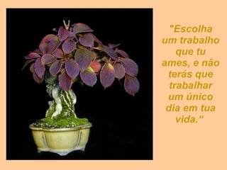 "Escolha um trabalho que tu ames, e não terás que trabalhar um único dia em tua vida.“   