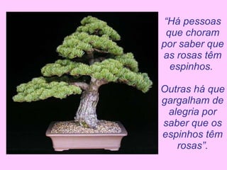 “ Há pessoas que choram por saber que as rosas têm espinhos.  Outras há que gargalham de alegria por saber que os espinhos têm rosas”. 