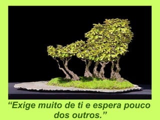 “ Exige muito de ti e espera pouco  dos outros.” 