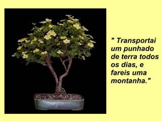 " Transportai um punhado de terra todos os dias, e fareis uma montanha." 