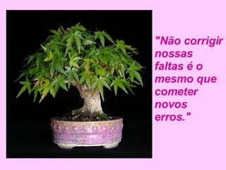 "Não corrigir nossas faltas é o mesmo que cometer novos erros." 