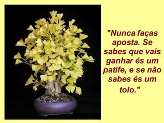 "Nunca faças aposta. Se sabes que vais ganhar és um patife, e se não sabes és um tolo."    